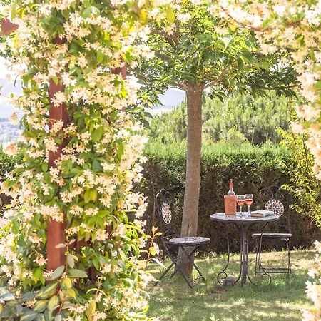 Spacious With Private Swimming Pool Villa Limoux